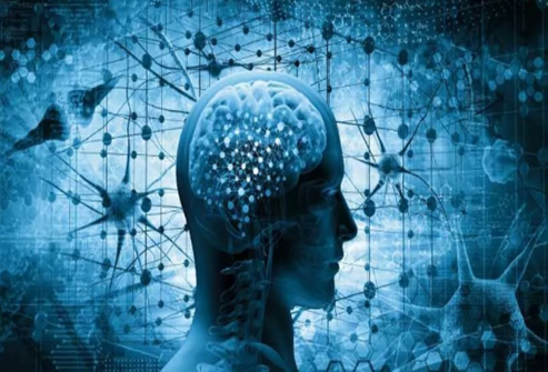 What are the basic principles of neurorehabilitation?（2）